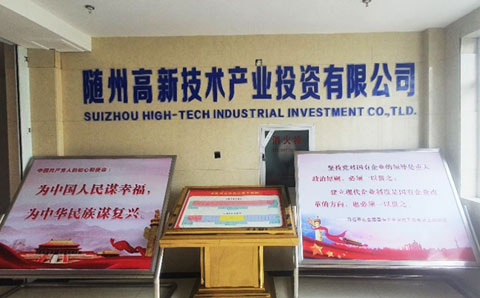 隨州高新技術(shù)產(chǎn)業(yè)投資有限公司受讓湖北澴泰資產(chǎn)管理有限公司對隨州市美亞迪光電有限公司債權(quán)可行性研究報(bào)告項(xiàng)目經(jīng)驗(yàn)介紹